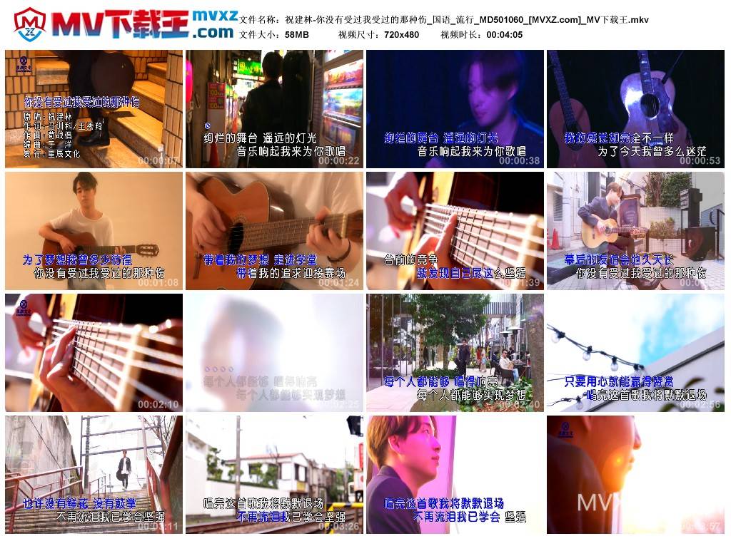 祝建林-你没有受过我受过的那种伤_国语_流行_MD501060